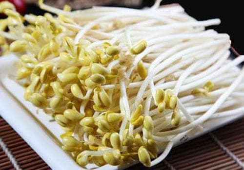 吃豆芽菜的好处 豆芽菜好处多吃法搭配有讲究