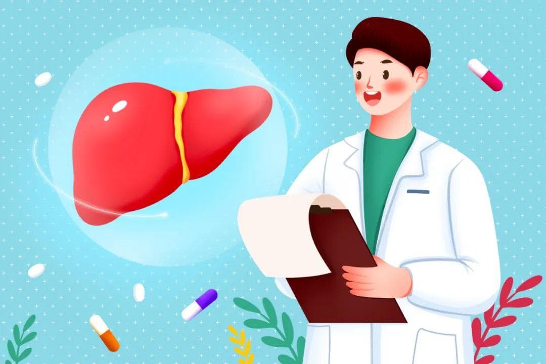 解读肝功能 这两项指标不要忽视