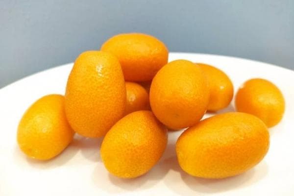 金桔的功效与作用、禁忌和食用方法