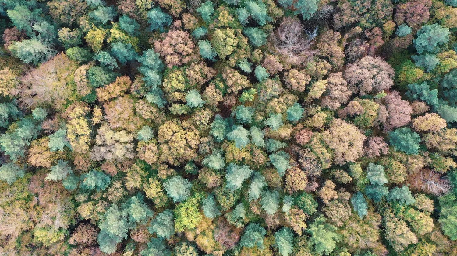 最新生物技术助力静脉注射免疫球蛋白生产