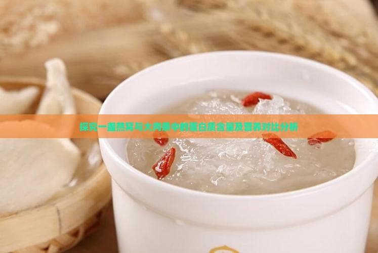 燕窝与大肉条的营养对比：蛋白质含量及健康价值解析