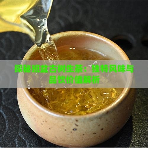 探秘班盆古树生茶：独特风味与品饮价值解析