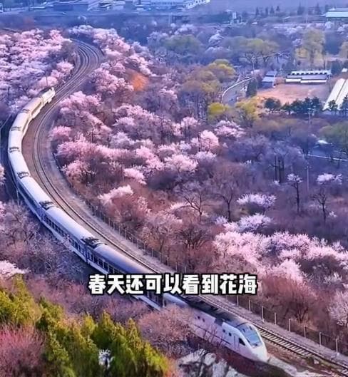 北京八达岭长城该怎么去最方便，公交、高铁优缺点该怎选