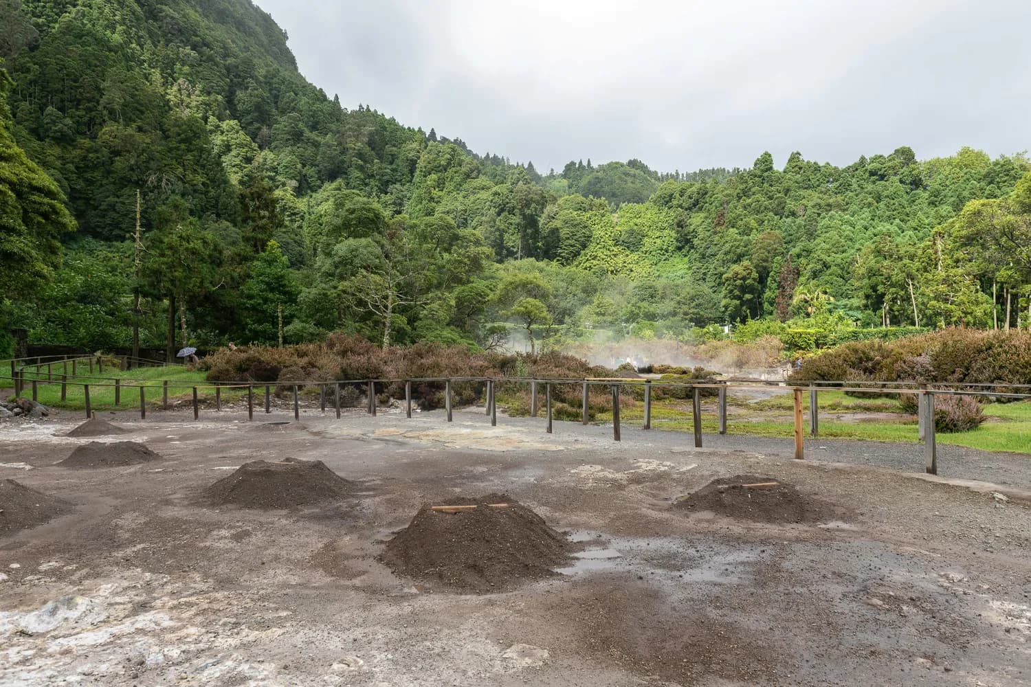 三峡集团：EM菌堆肥技术让百德镇告别污染实现增产
