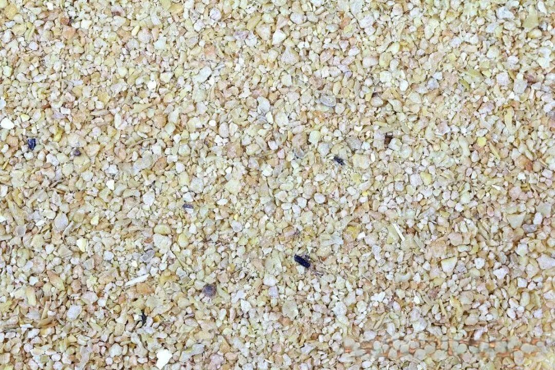 豆粕交易入门指南