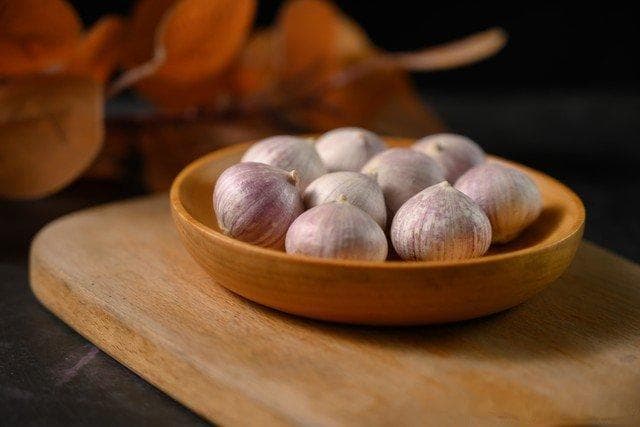 独头蒜对比普通蒜，蒜香世界里的双胞胎大不同