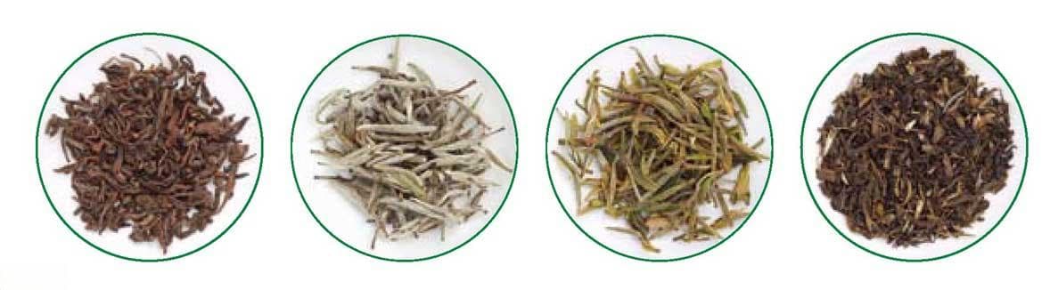 从零开始学鉴茶·泡茶·赏茶