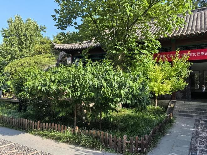 园林景观工程中小乔木的应用和配置方式