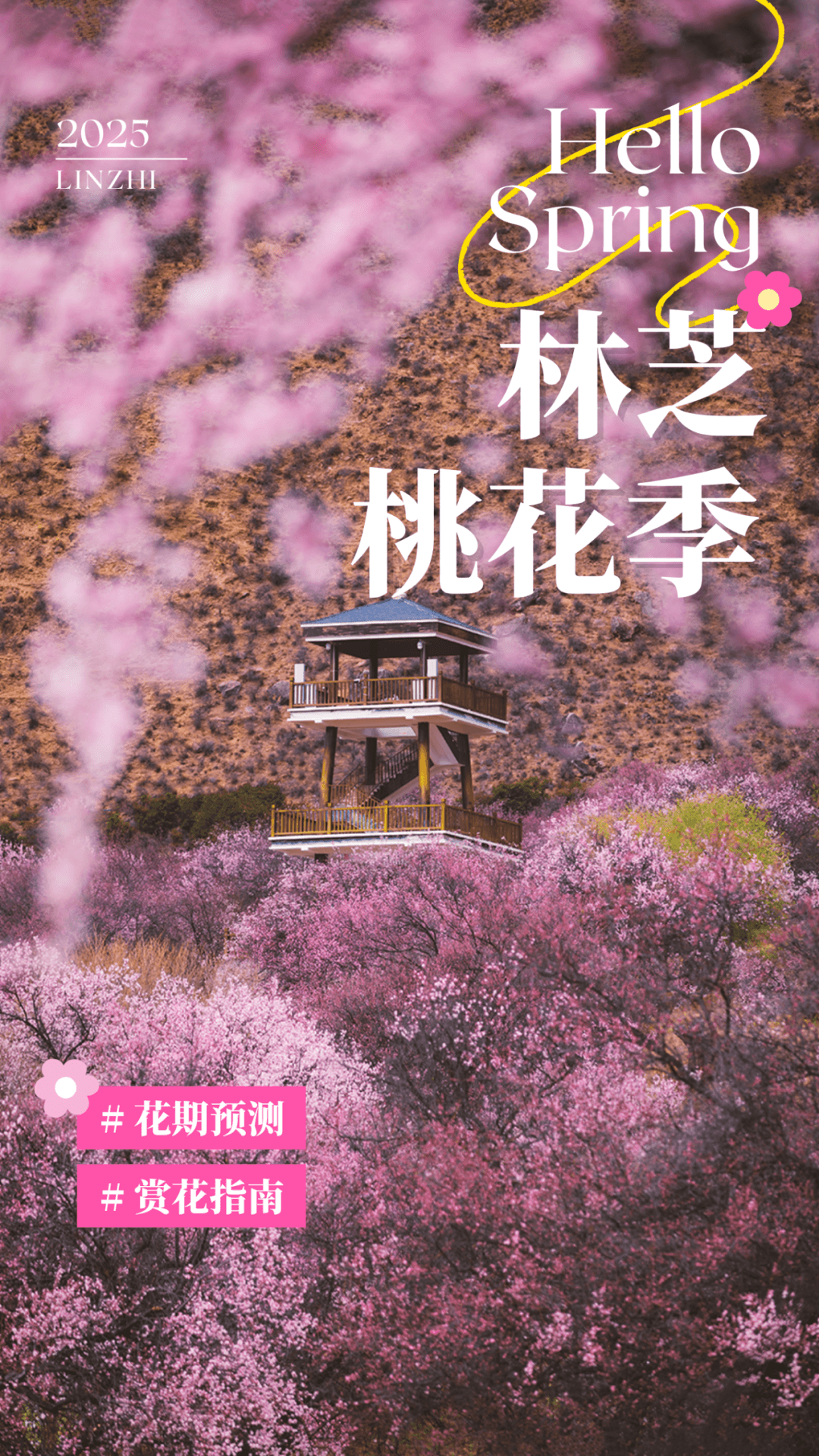 2025年西藏桃花花期大揭秘！快收藏这份赏花指南→