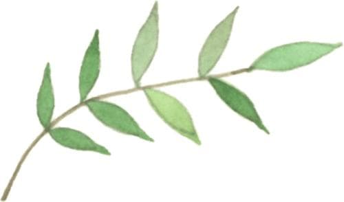 春节后，如何循序渐进恢复锻炼？