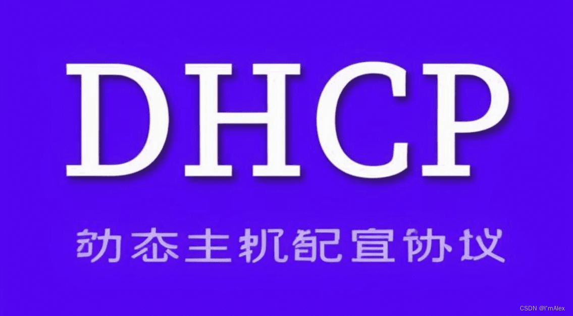 【计算机网络】深入解析DHCP协议：功能、工作原理与安全防护