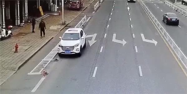 车辆启动撞倒护栏，车内窜出一只狗！
