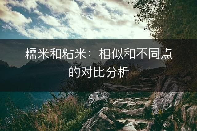 糯米和粘米：相似和不同点的对比分析