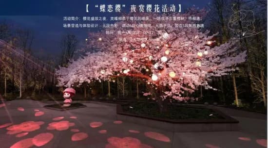 沪苏浙皖12个绝美点位 长三角花海打卡指南来了