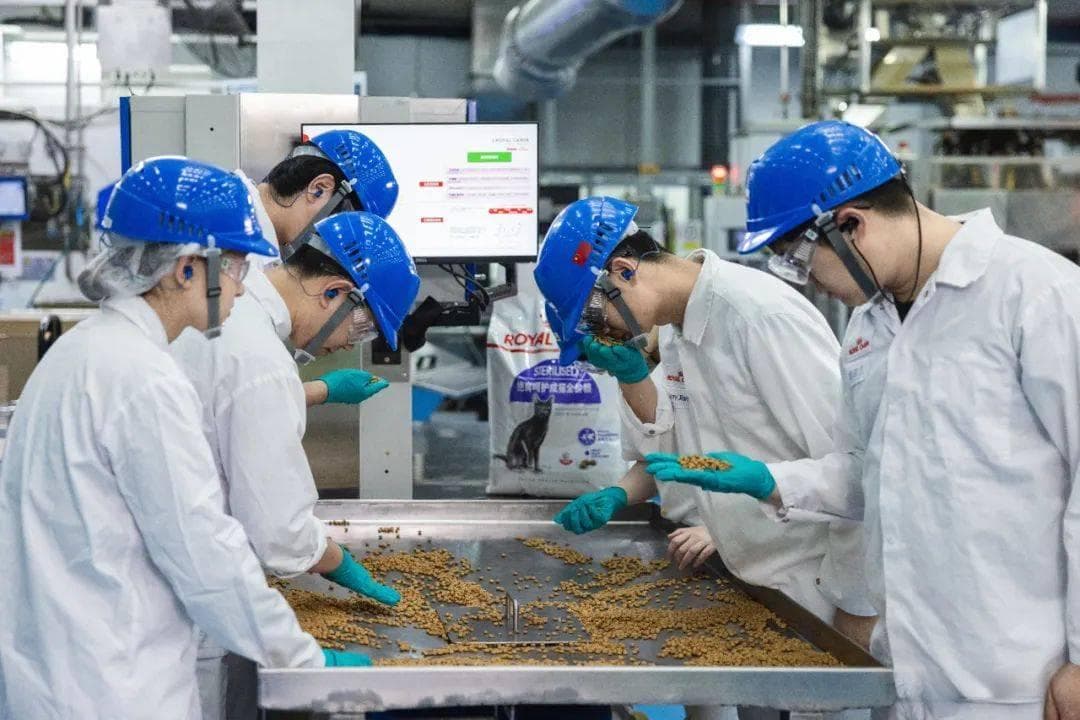 揭秘皇家铂金工厂：五大关卡守护猫粮品质