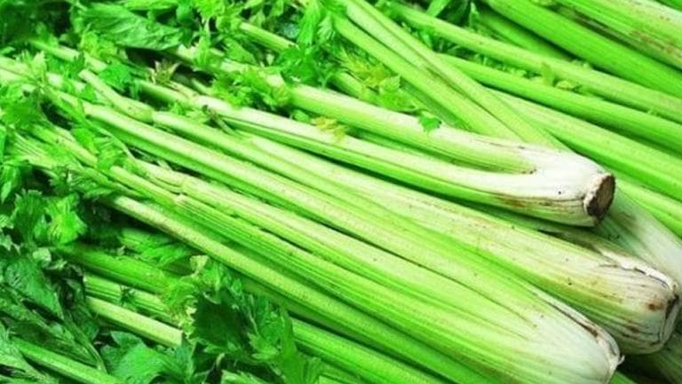 西芹菜的功效与作用、禁忌和食用方法