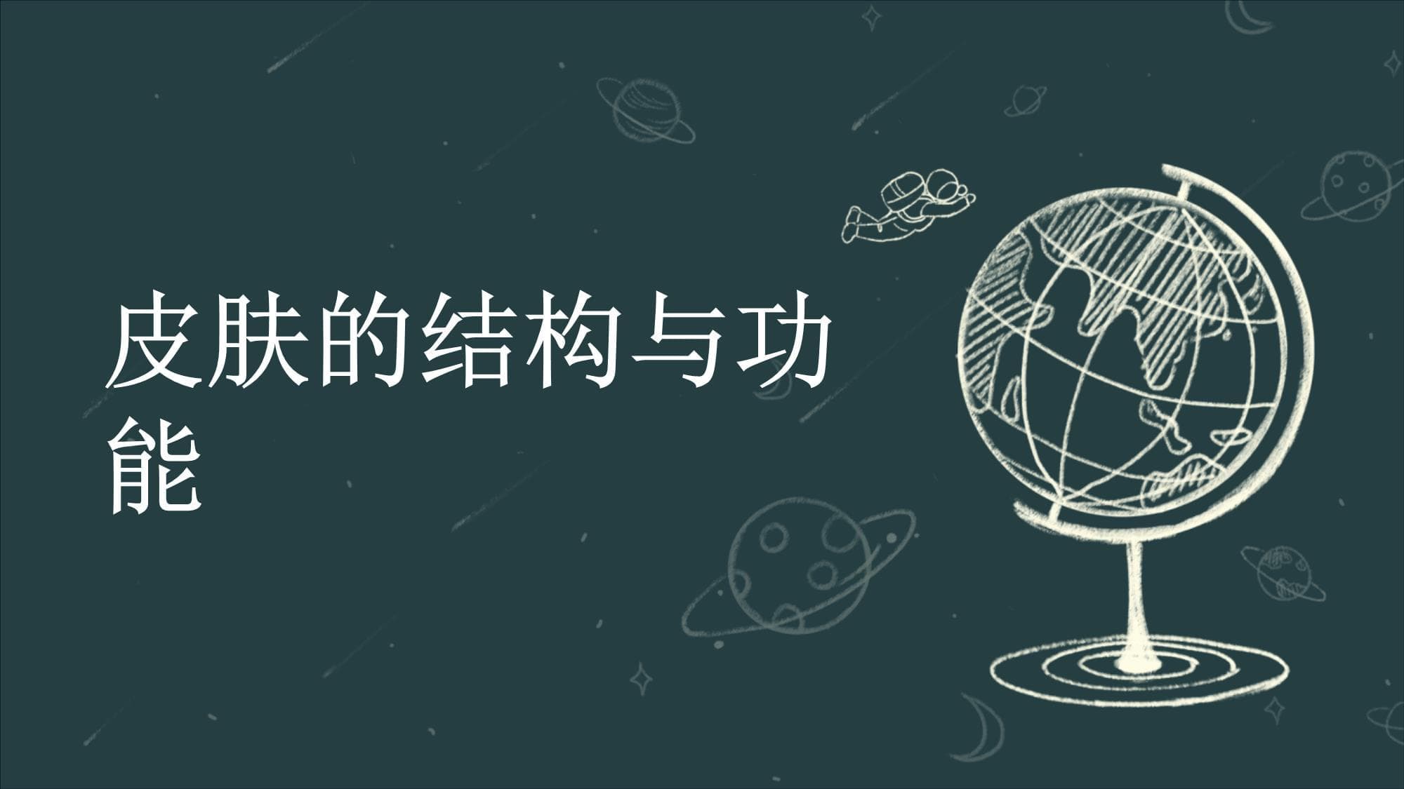 皮肤的结构与功能