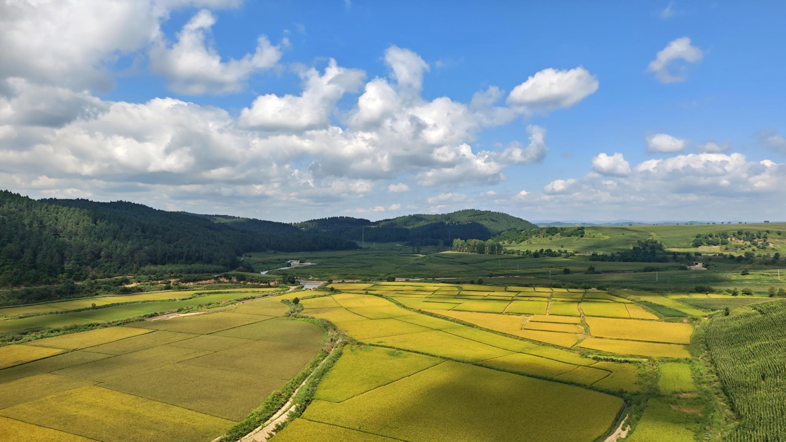哈尔滨铁路局推出多样化服务 让高铁旅程更温馨