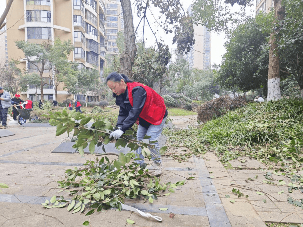 月亮岛街道杨丰社区流动党员"三转变"工作方法：为社区发展注入源头活水