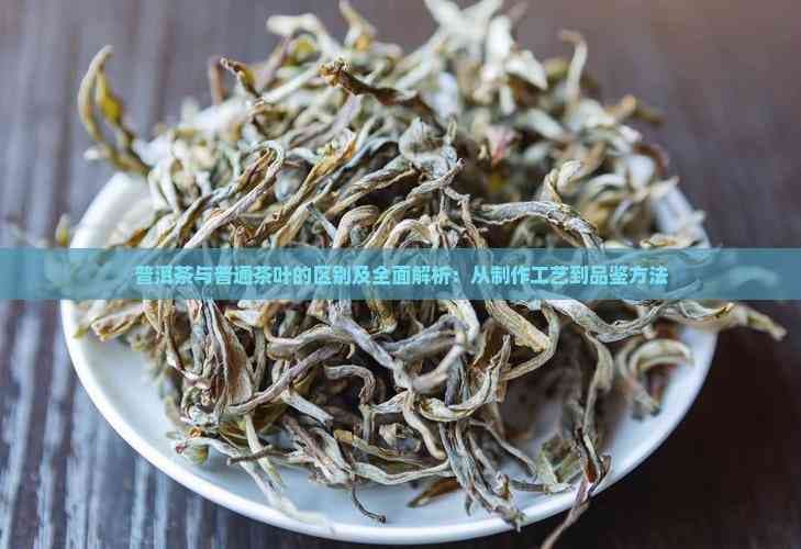 普洱茶与普通茶叶的区别及全面解析：从制作工艺到品鉴方法