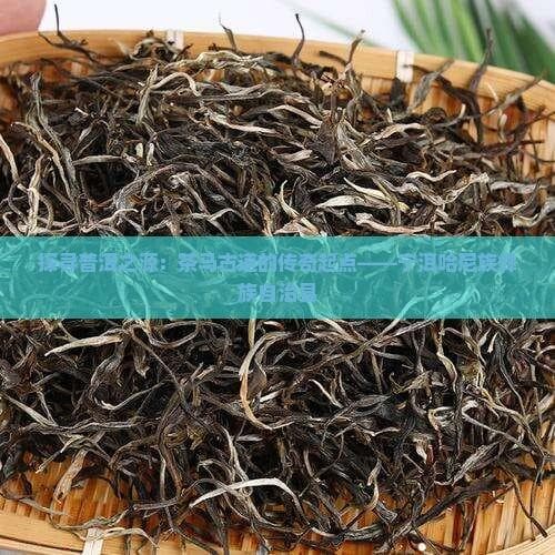 云南宁洱：普洱茶源头与茶马古道的传奇起点