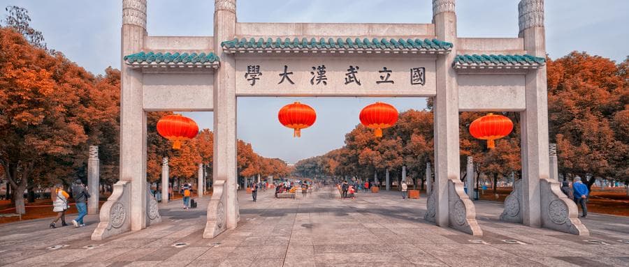 武大雷军班多少分？是本硕博连读吗？附各省招生名额+2024分数线