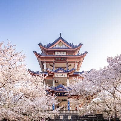 饱览太湖风光，无锡经典2日游