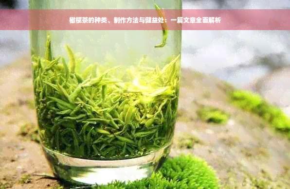 橄榄茶的种类、制作方法与健康益处：一篇文章全面解析