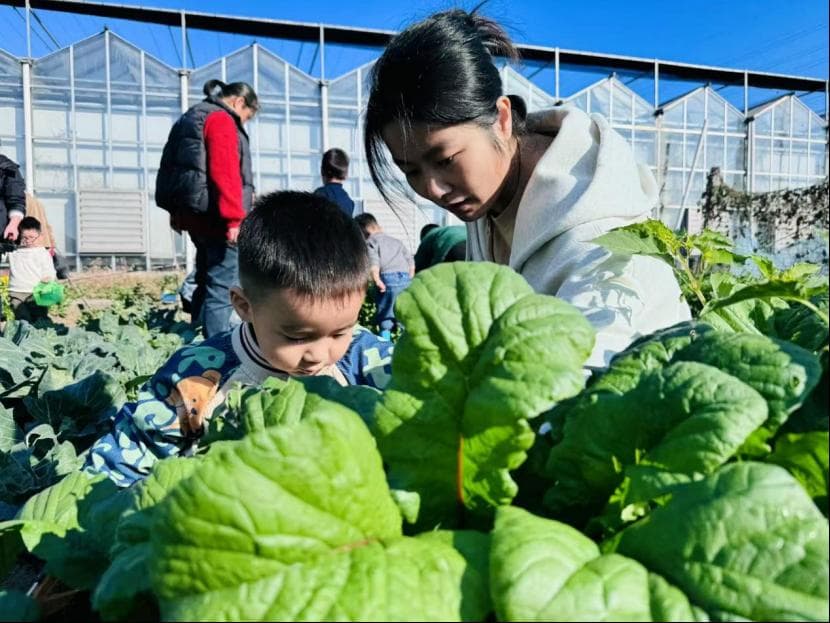 江苏华西村打造农文旅融合新模式，获多项国家级示范基地称号