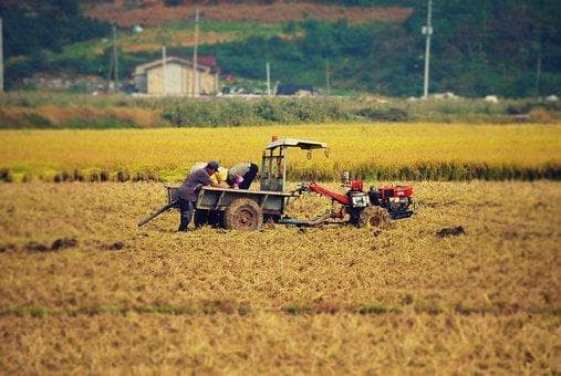 中国法定结婚年龄及其相关规定