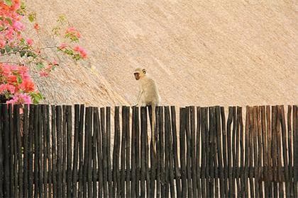 天干地支的含义、象征意义及其应用领域