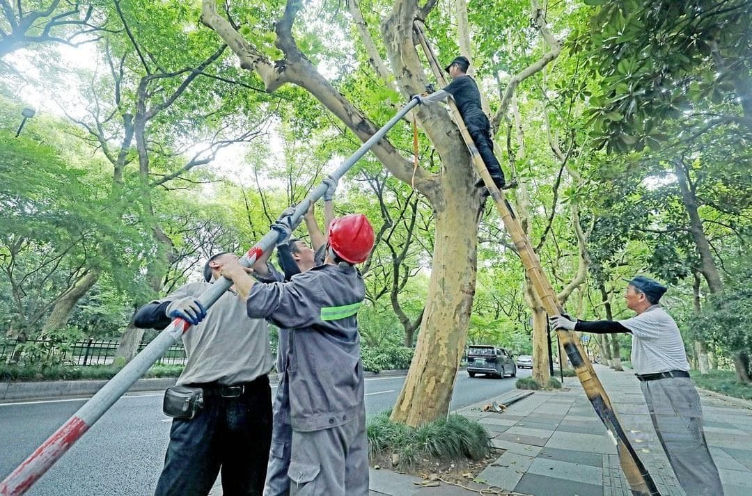 浙江全力迎战台风"格美"：转移群众、科学调度、抢收作物