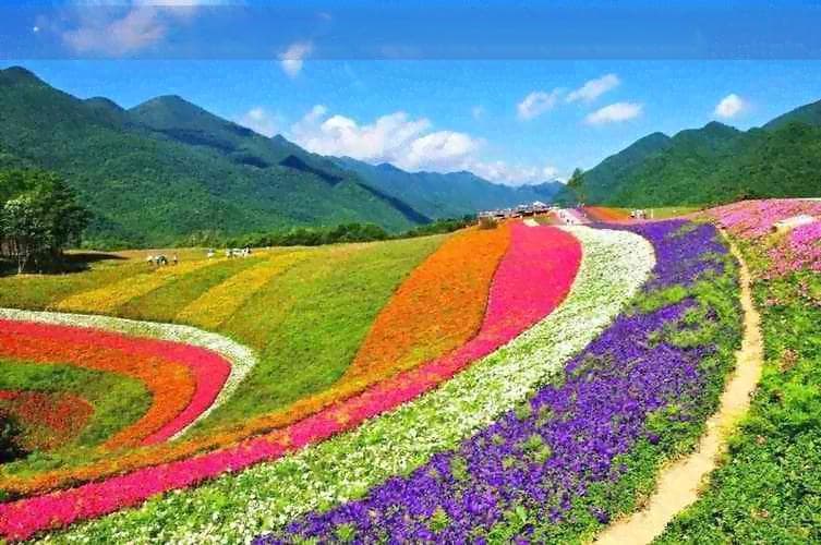 湖南人前往昆明旅行：高原反应的预防与应对措施全解析