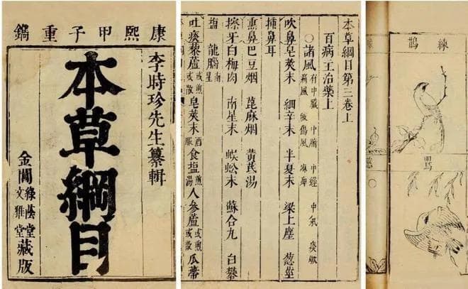 中国人为什么不吃猫肉？原来李时珍已告诉我们答案，古人早就试过