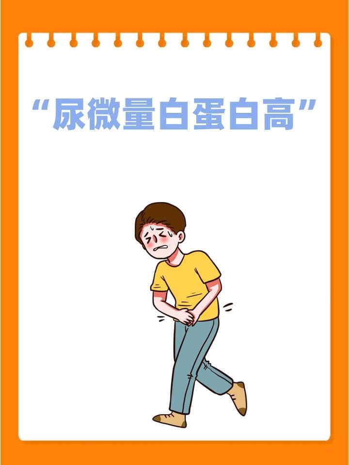 尿微量白蛋白升高，这样调理让肾脏恢复健康