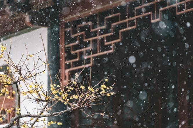 孔子思想的“五大智慧”有哪些？