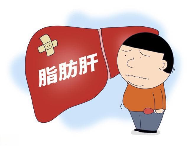 脂肪肝发病率越来越高，4类因素最易患病，出现4类症状及时就医