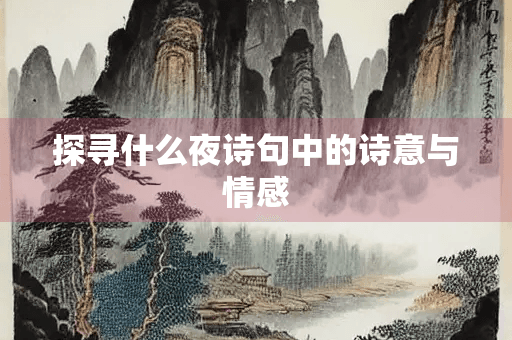探寻什么夜诗句中的诗意与情感