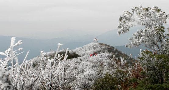 江西冬季四大自然景观攻略：庐山、三清山、井冈山、武功山