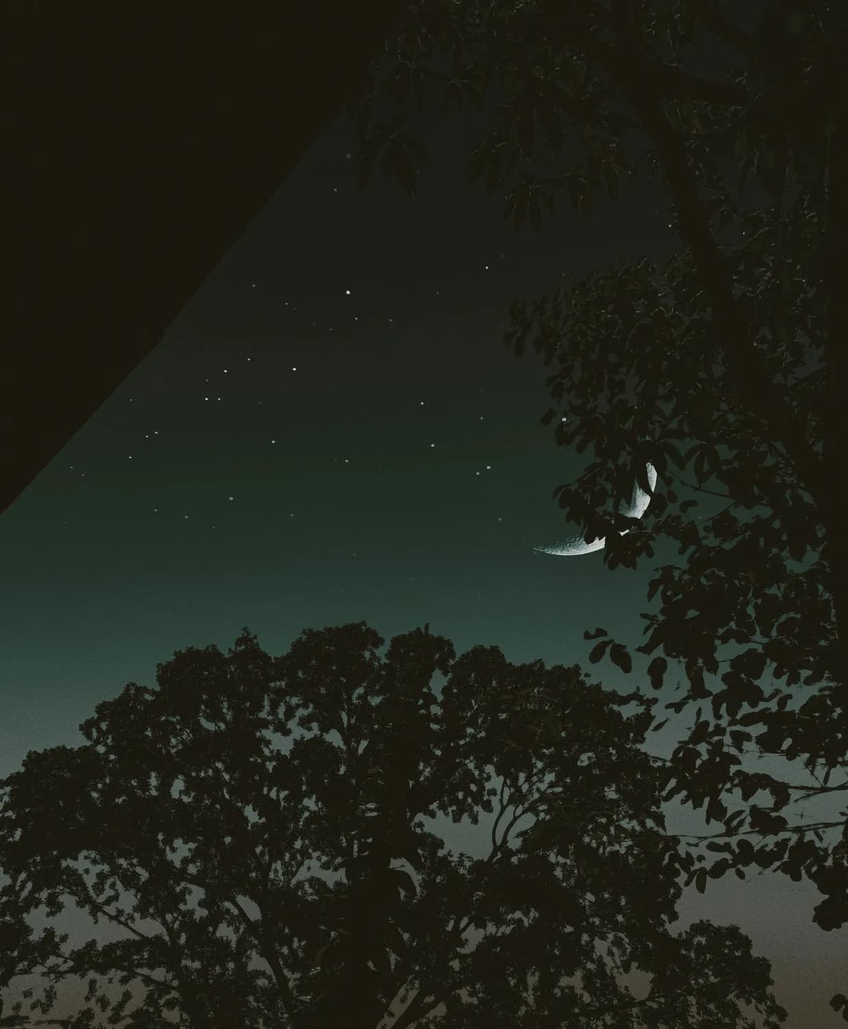 夜北冥：《太古神王》中最独特的存在