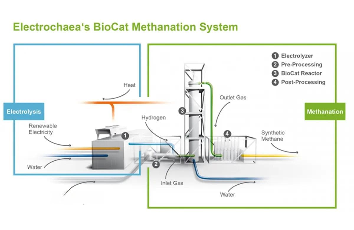 从基因到表型-使用群落建模方法解读微生物互作机制
