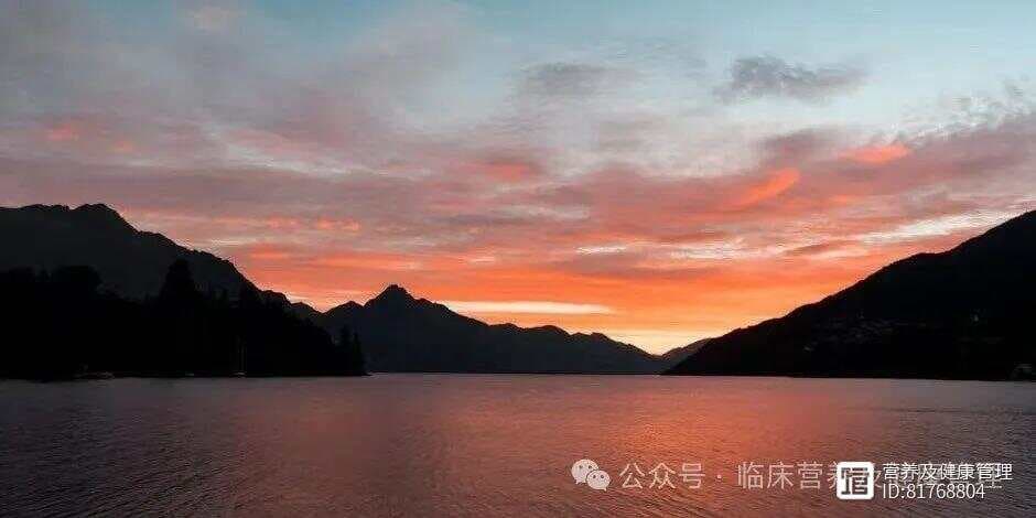 肝脏检查这4项就够了，别花冤枉钱