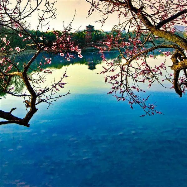 承德市春季赏花踏青旅游线路，建议收藏！