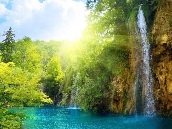 韧性的力量：如何在逆境中保持坚韧不拔