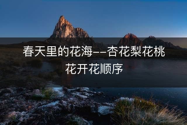 春天里的花海--杏花梨花桃花开花顺序