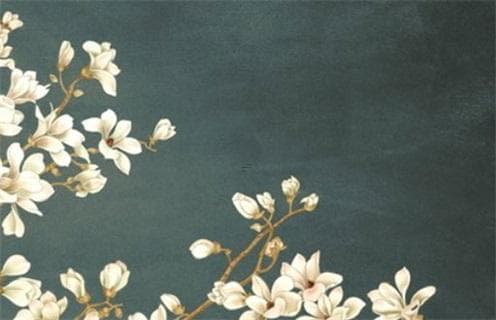 正官七杀在八字中的含义：权威与挑战的交织