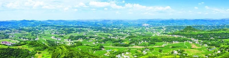 南充仪陇：推动蚕桑产业全链条发展 从一片叶到一片“业”