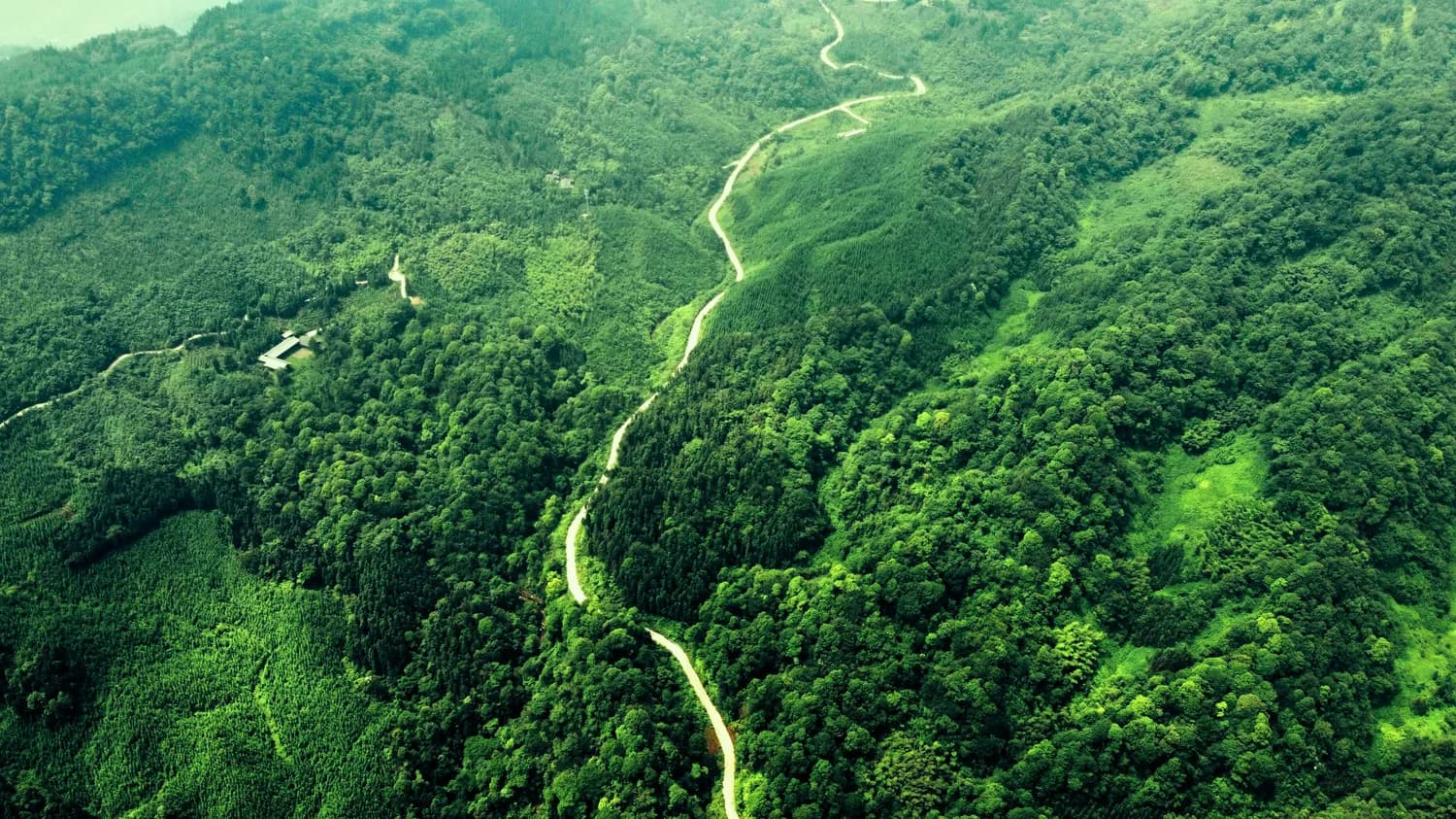 五一自驾游：穿越热带雨林，邂逅野象谷
