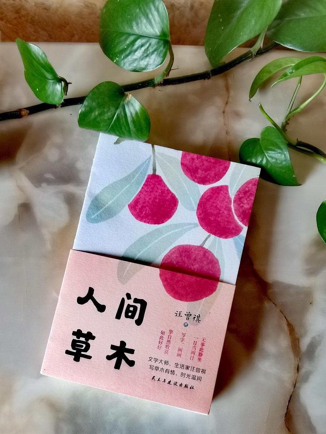 请放慢脚步去留意身边平淡生活中的美好