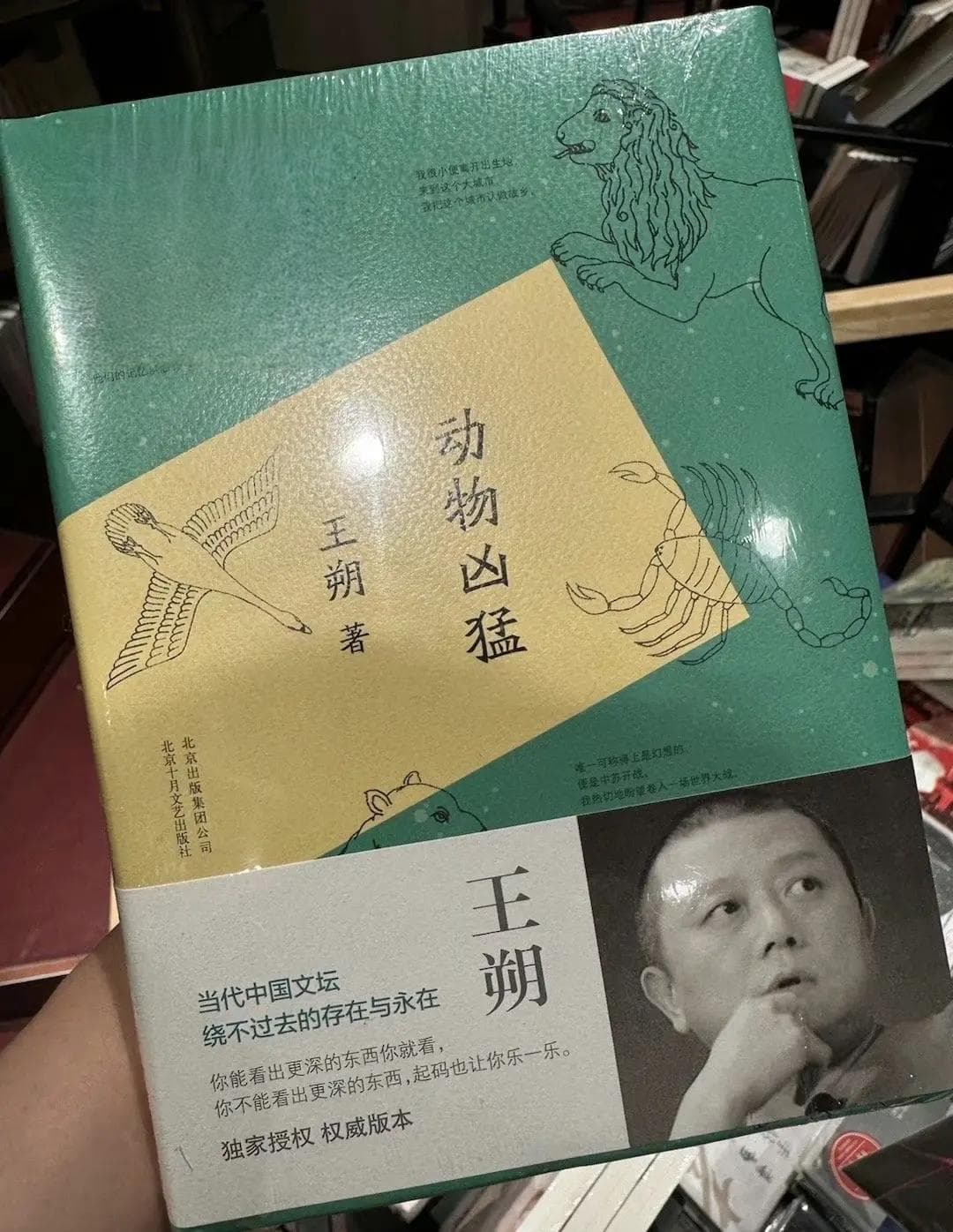 《动物凶猛》：王朔笔下的青春记忆与时代反思